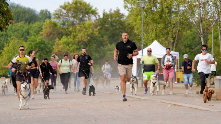 Над 380 кучета и техните стопани превзеха София в празничното бягане с Purina и „Нестле за Живей Активно!“