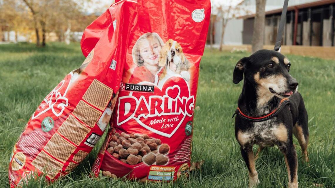 Purina достави 1 тон надежда: обещаната храна на софийското издание “Нестле за Живей Активно!” стигна до 120 кучета в нужда